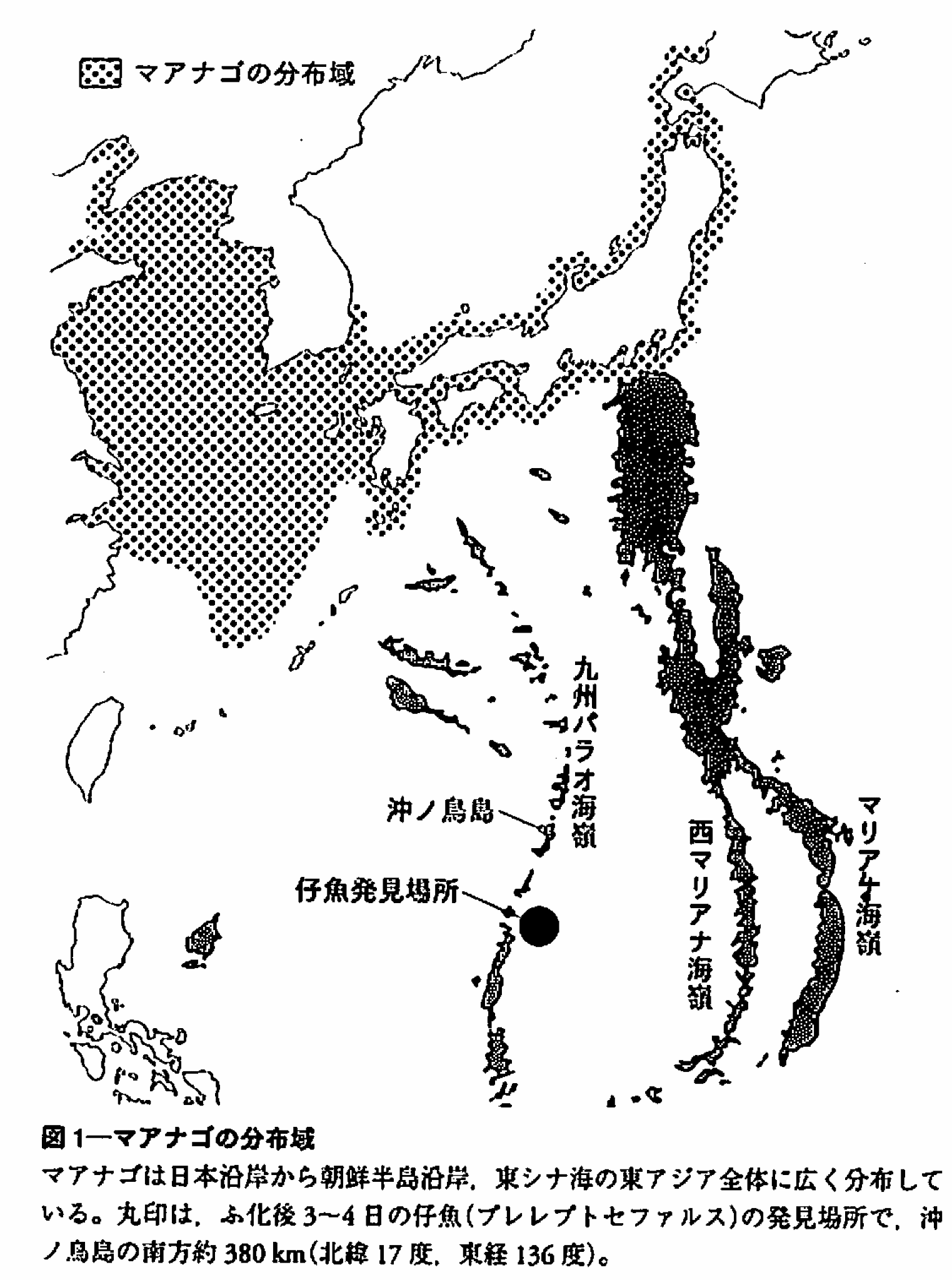 図2. マアナゴの分布域.　黒丸が仔魚の発見場所 2).